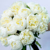 Paeonia Duchess Flower Bouquets