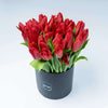Simply Red Flower Boxes