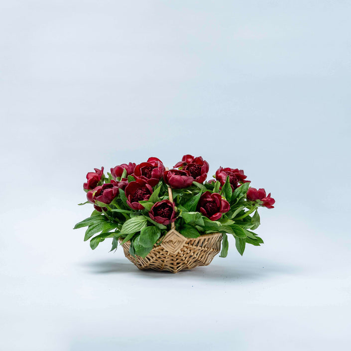 Eternal Charm Flower Baskets